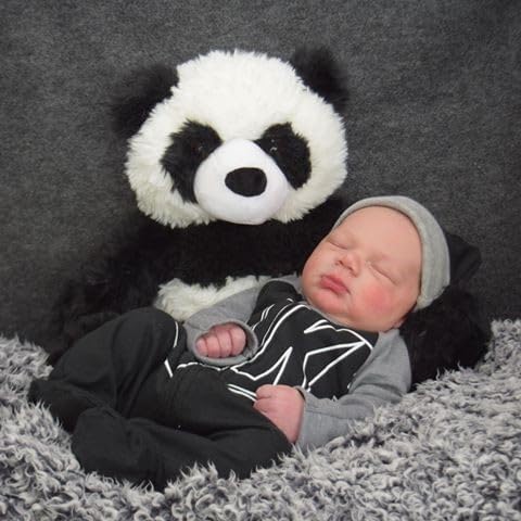 Panda Stuffed Animal Soft Panda Plushie
